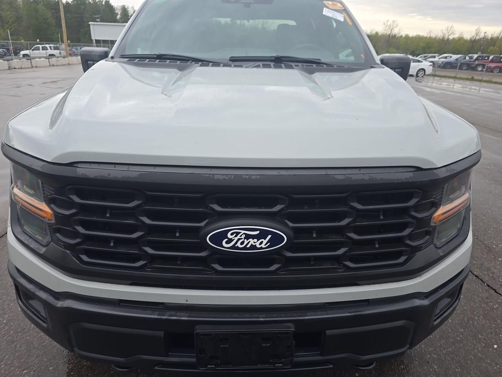 FORD F-150 - 3