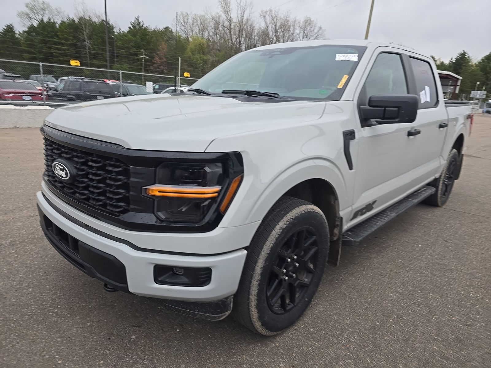 FORD F-150 - 1
