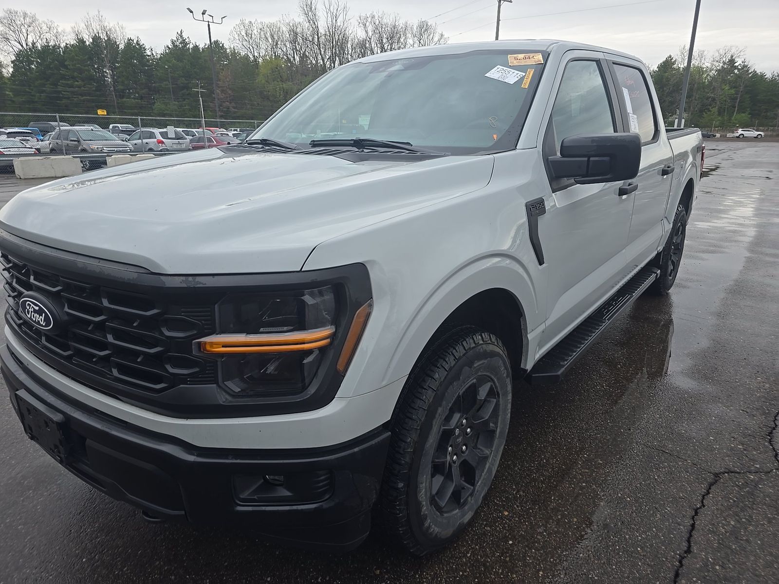 FORD F-150 - 1