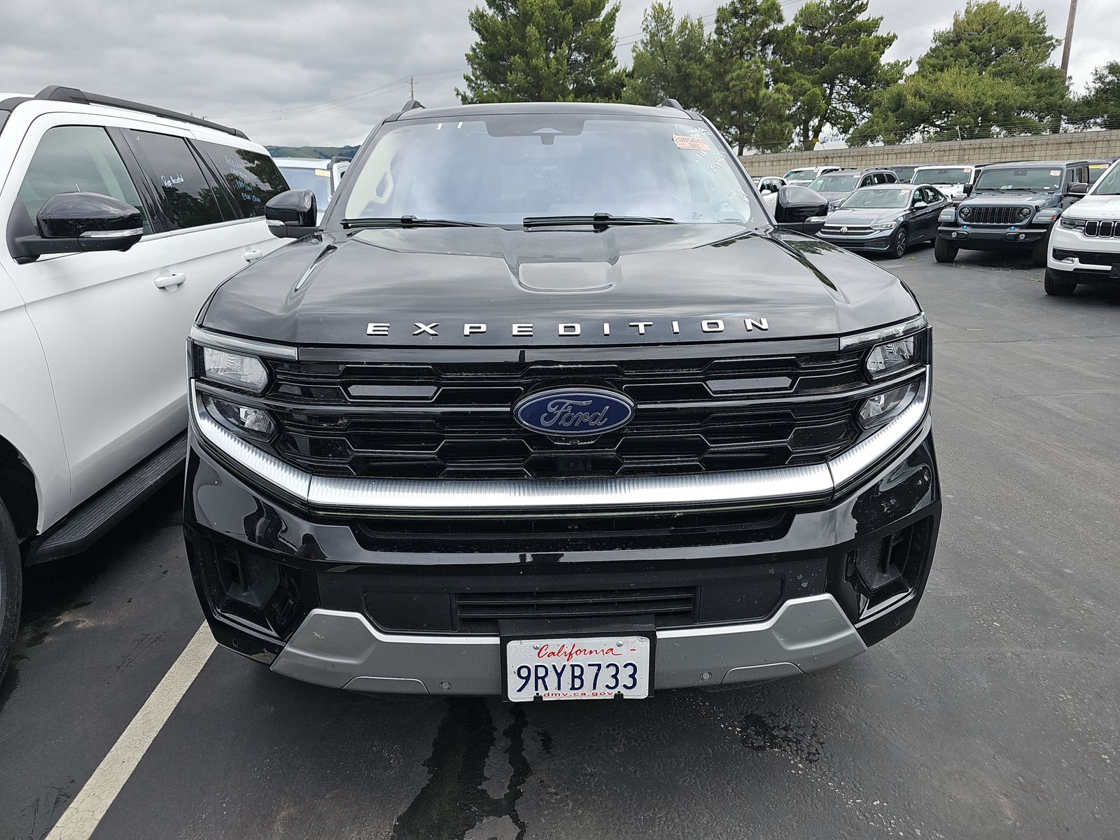 FORD EXPEDITION MAX - 3