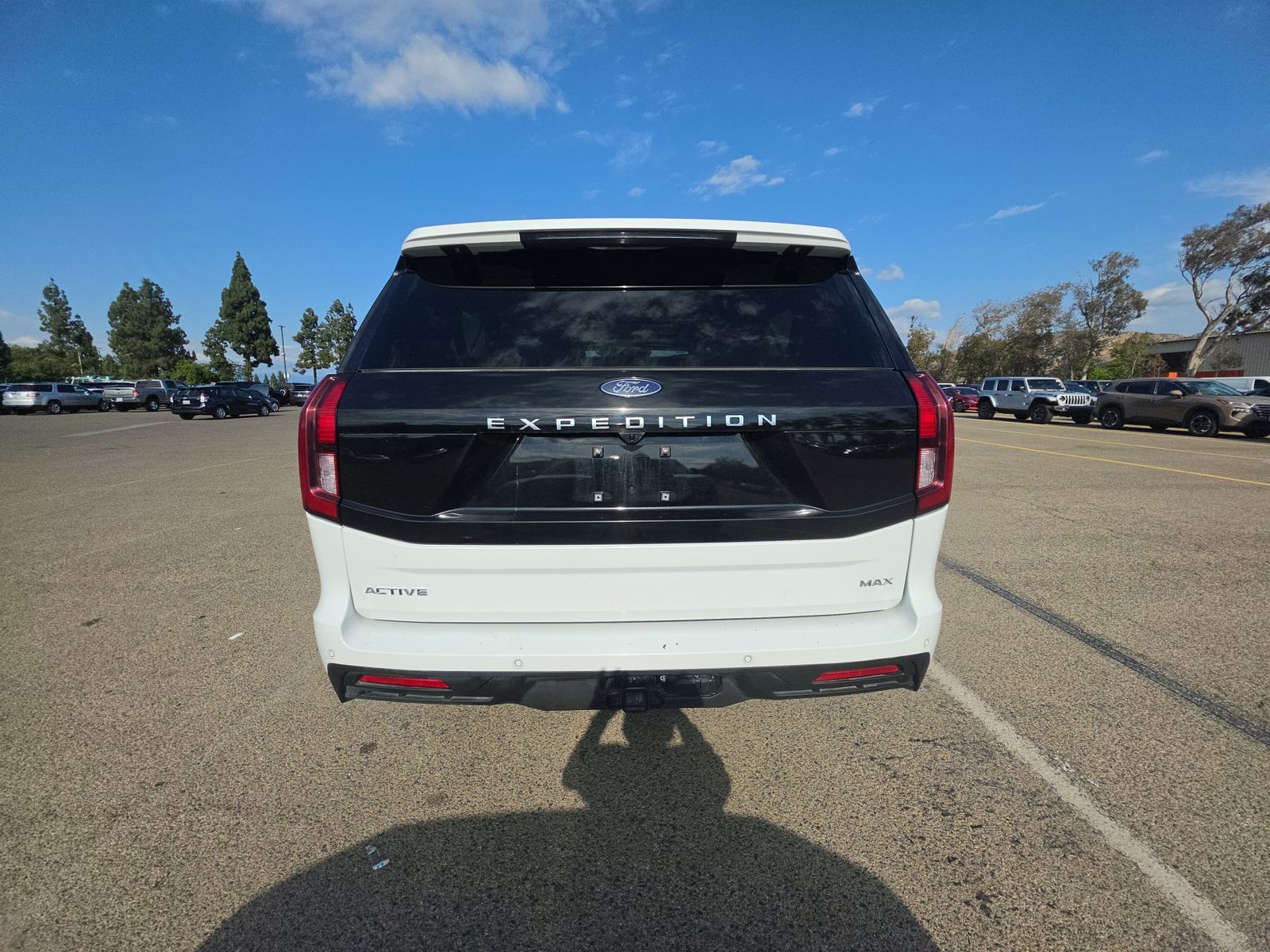 FORD EXPEDITION MAX - 6