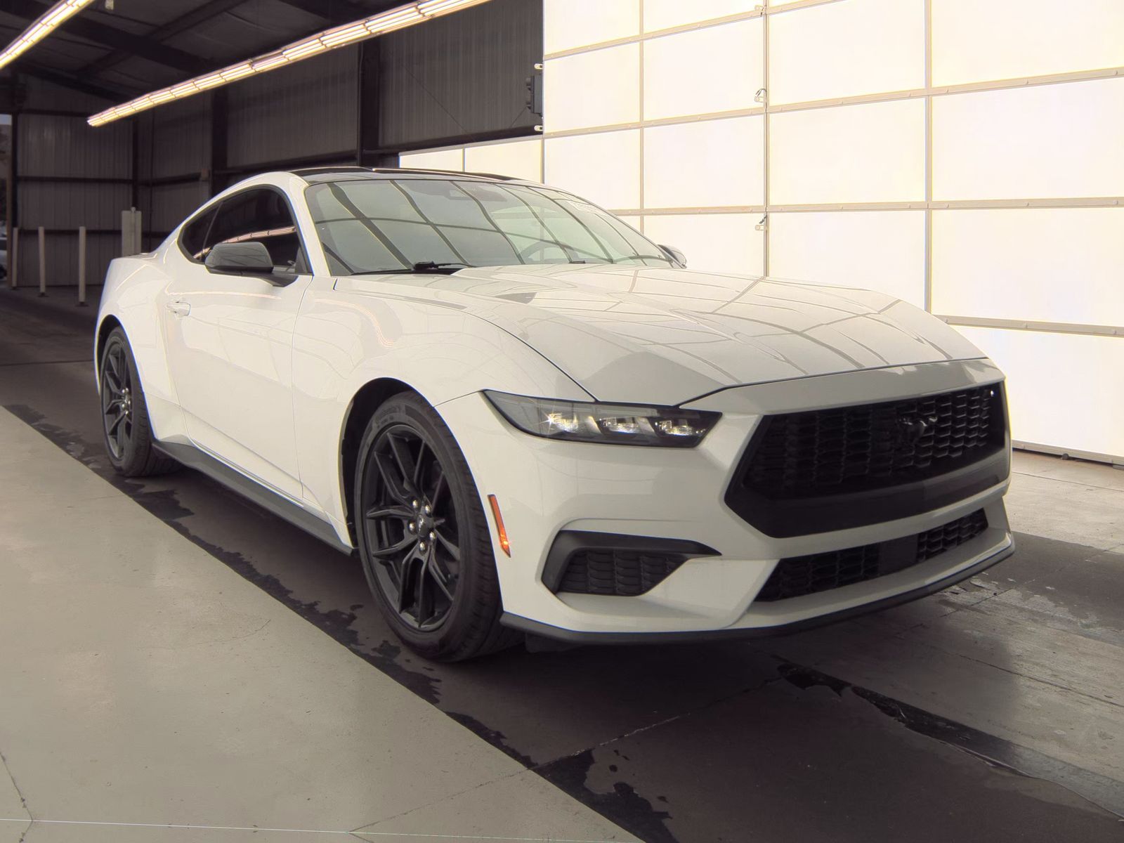 FORD MUSTANG - 5