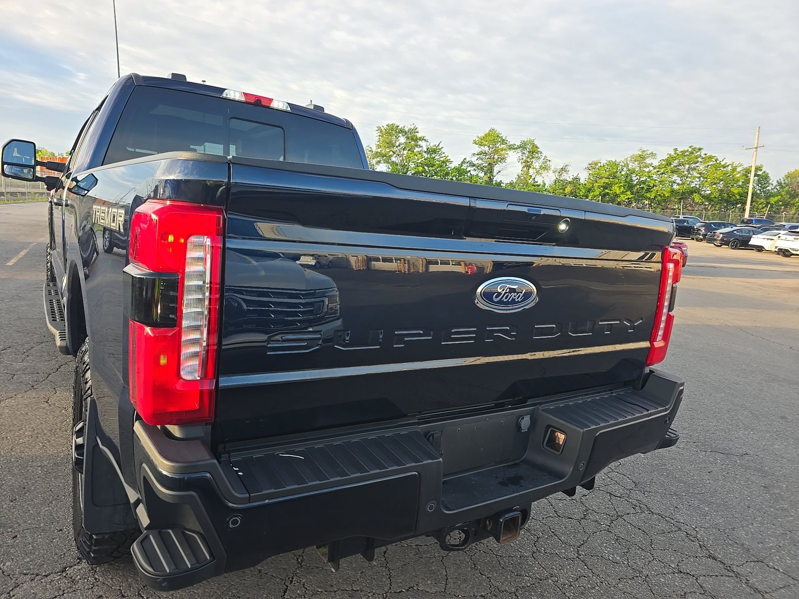 FORD F-250 - 6