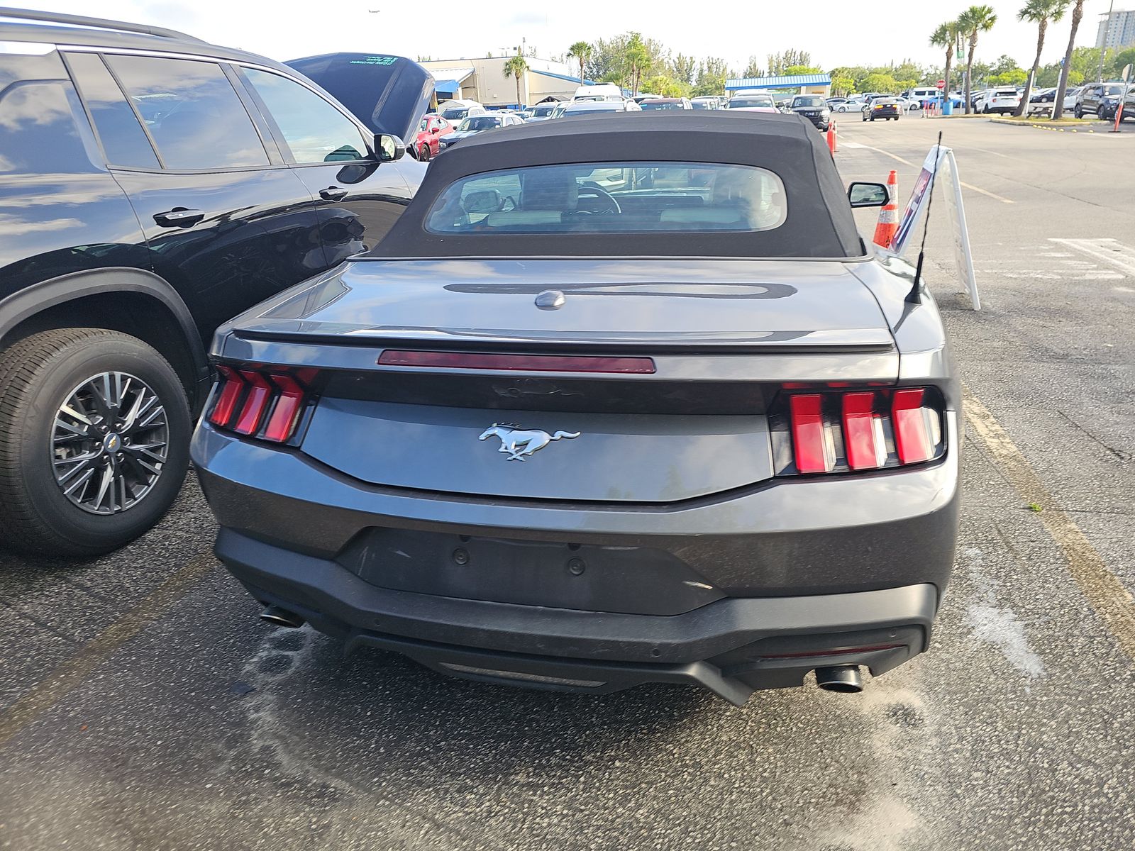 FORD MUSTANG - 6