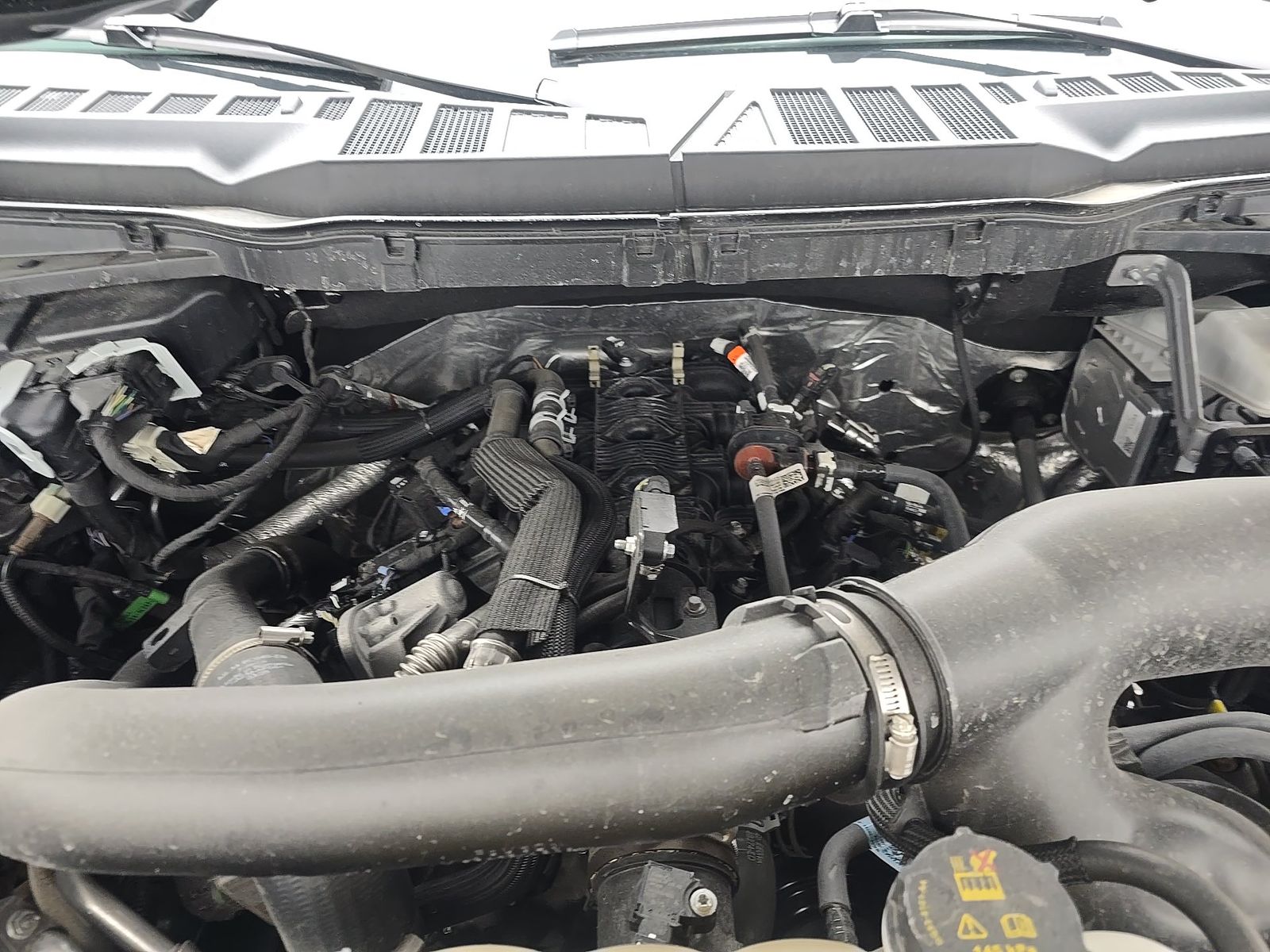 2025 Ford F-150 XLT AWD