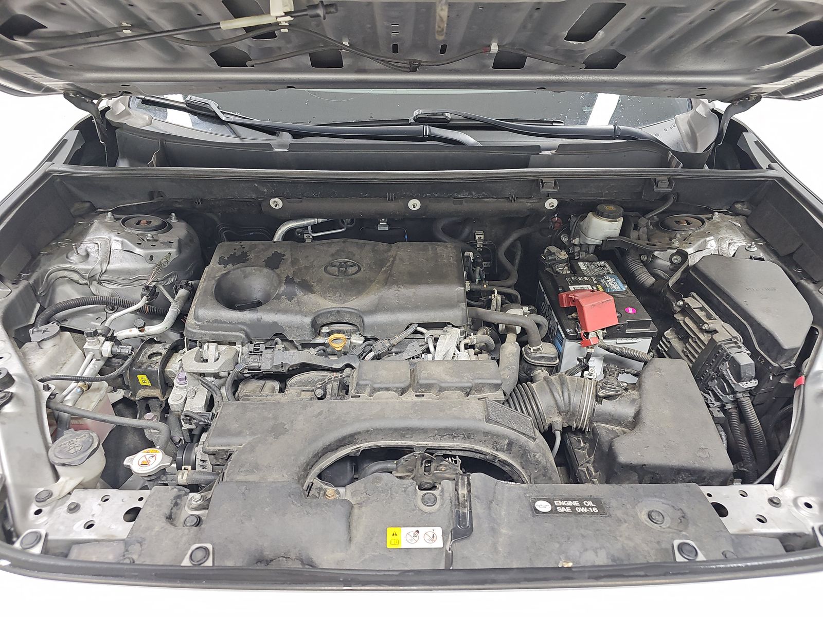 2019 Toyota RAV4 LE AWD