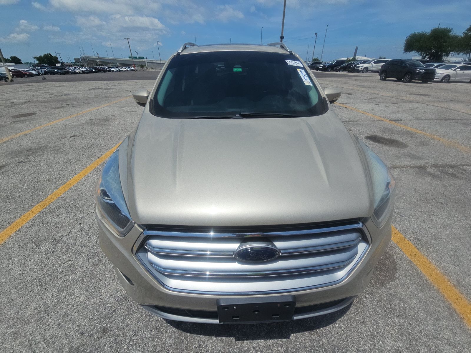 FORD ESCAPE - 3