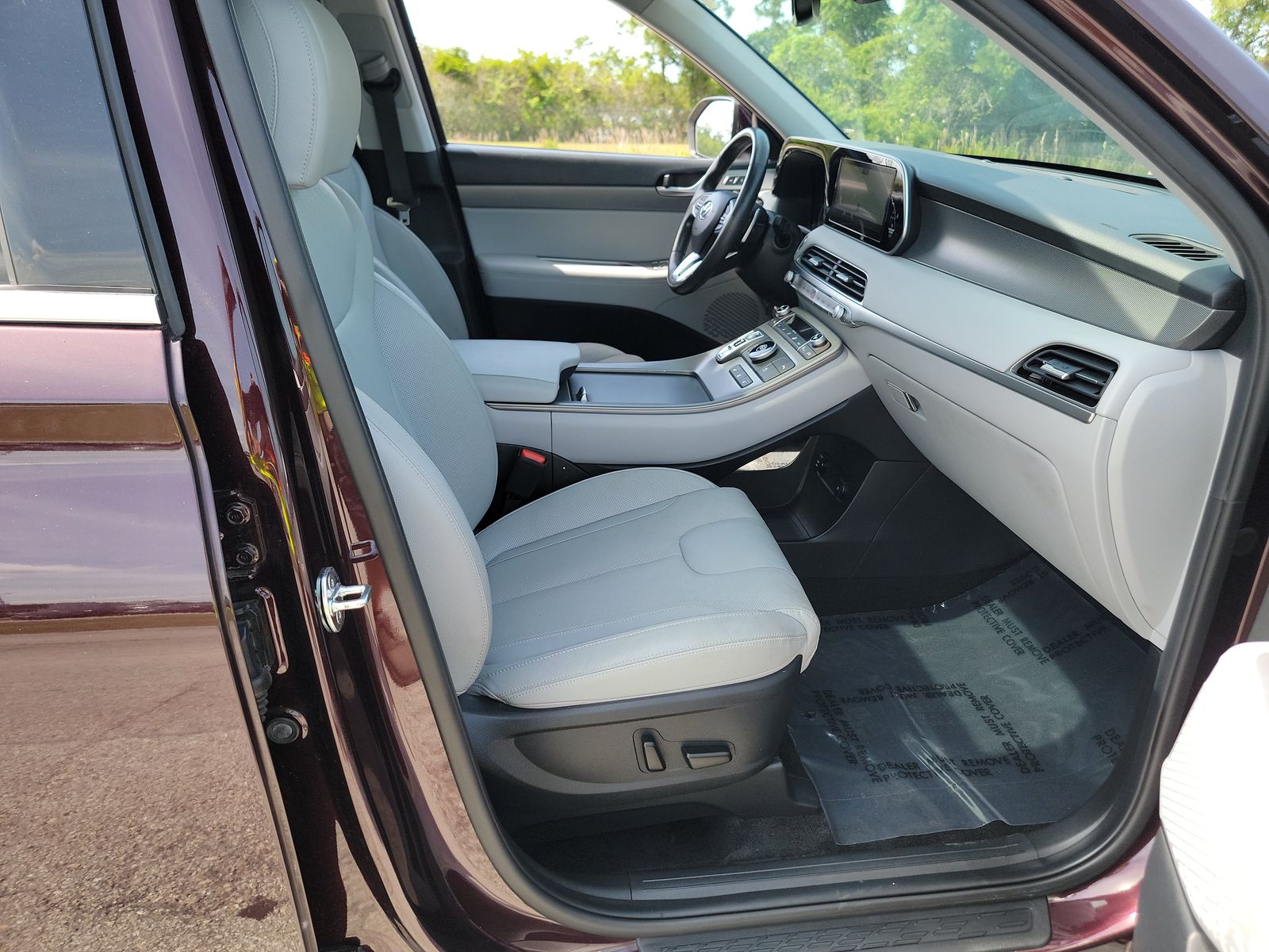 HYUNDAI PALISADE - 9