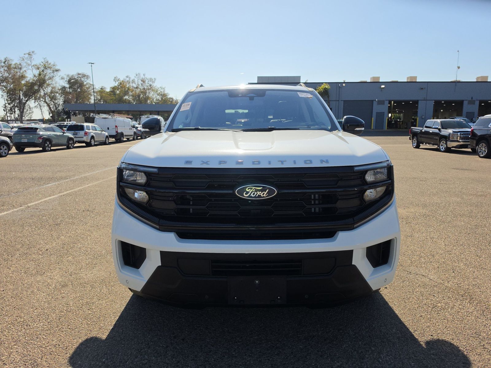 FORD EXPEDITION MAX - 3