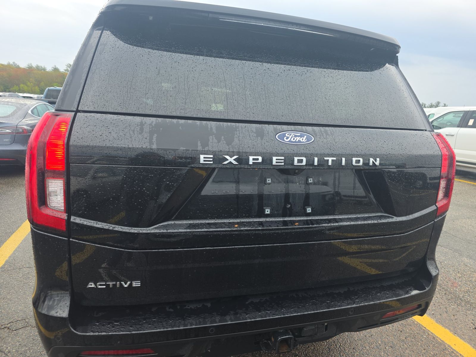 FORD EXPEDITION - 6