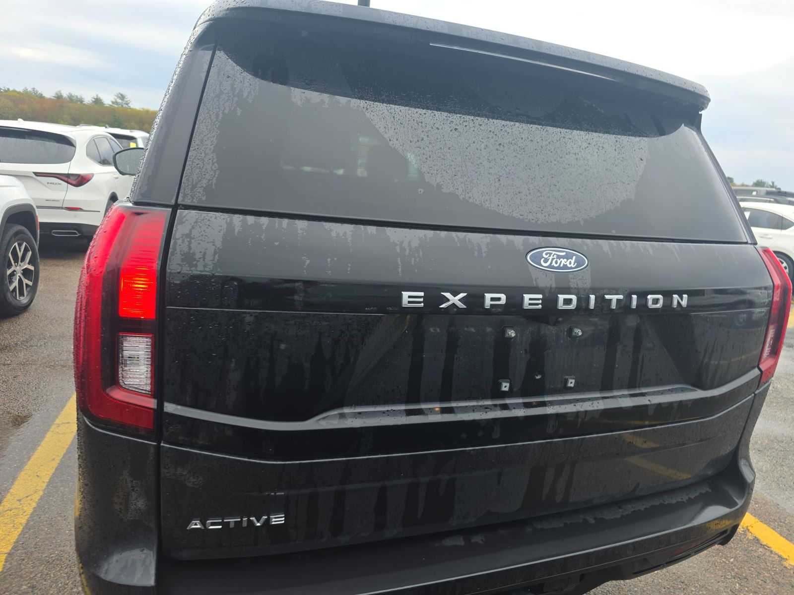 FORD EXPEDITION - 6