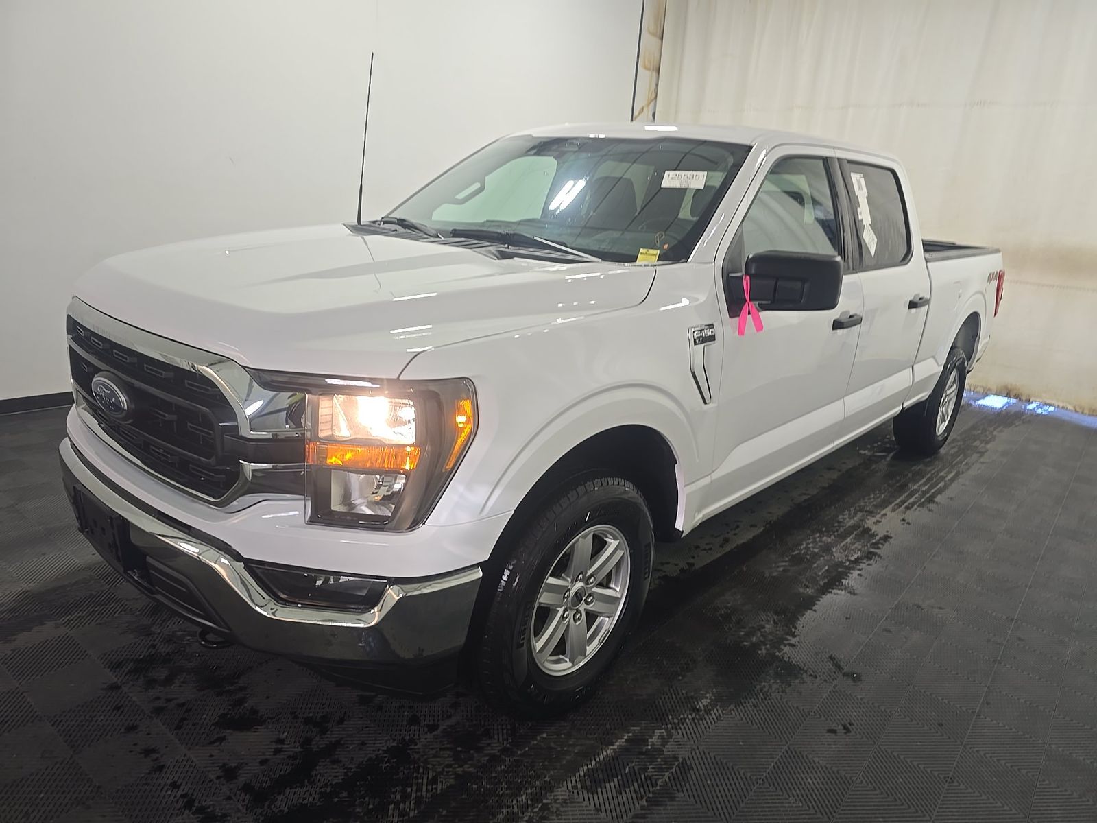 FORD F-150 - 1