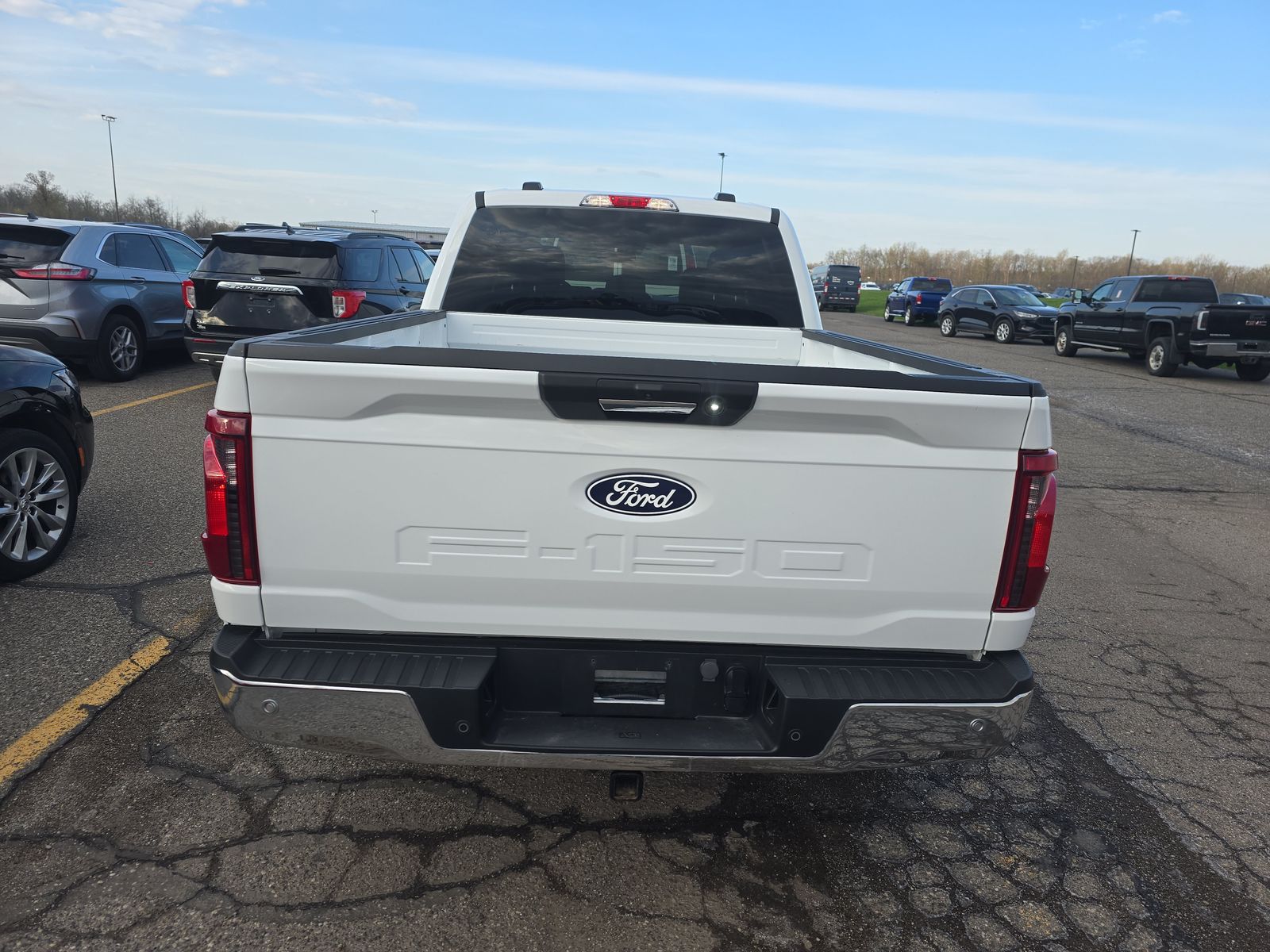 FORD F-150 - 6
