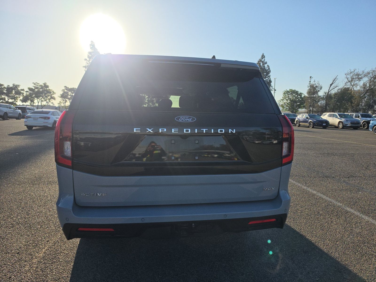 FORD EXPEDITION MAX - 6
