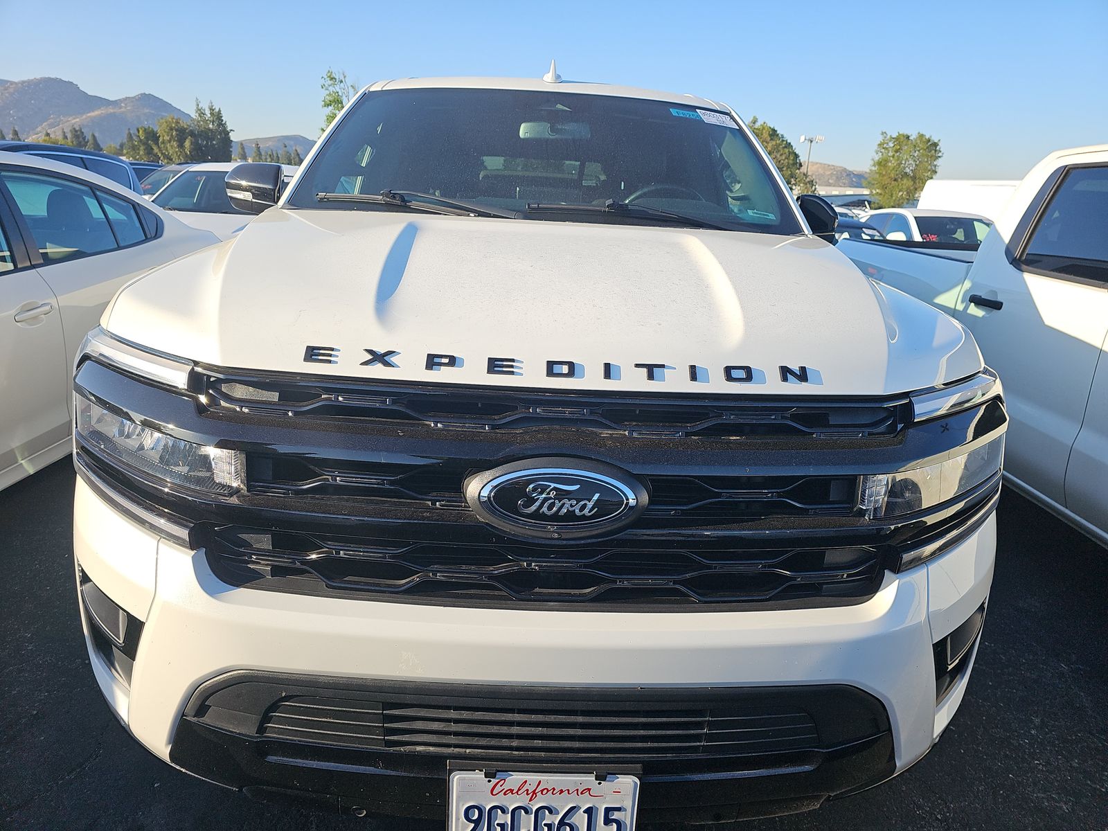 FORD EXPEDITION MAX - 3