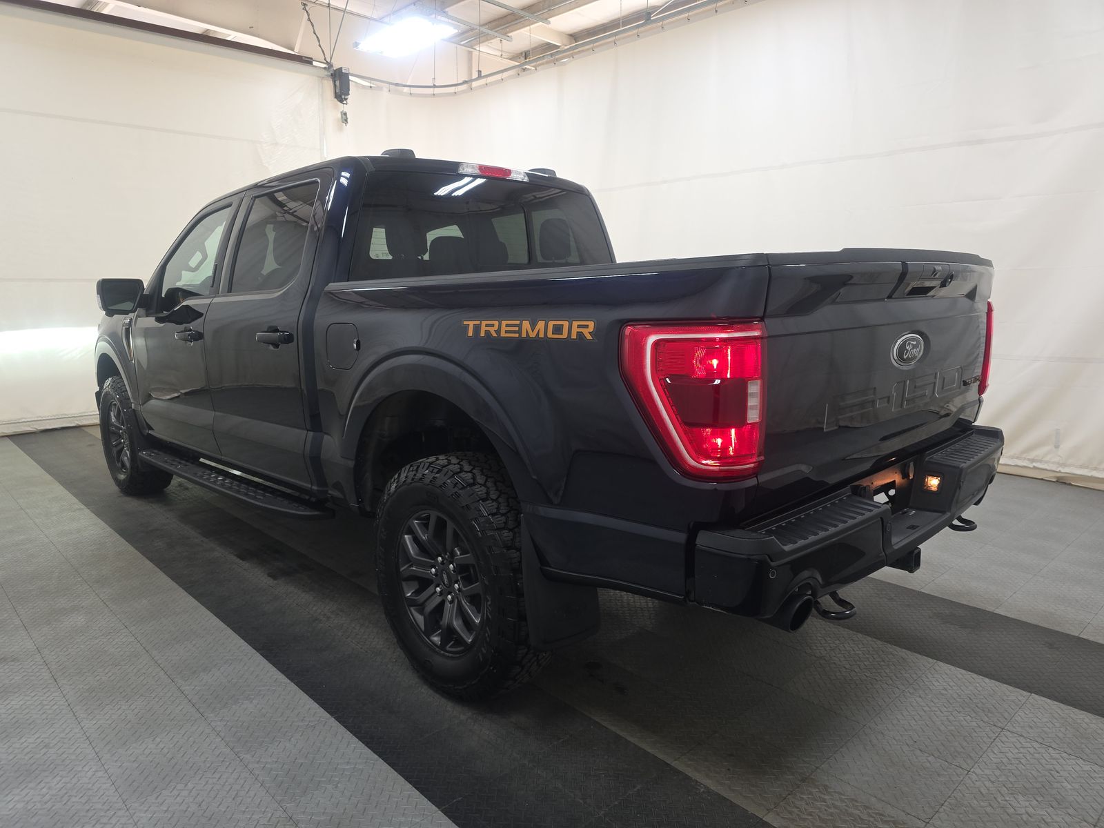 FORD F-150 - 7