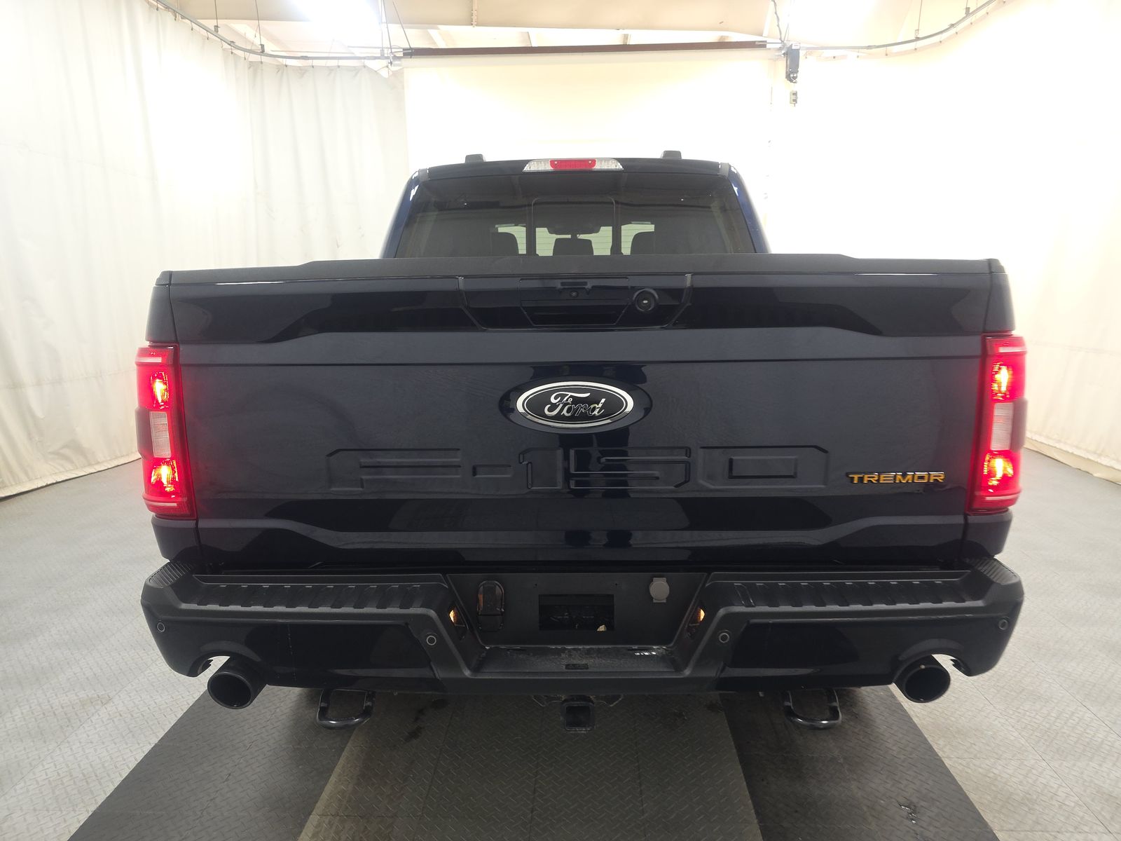 FORD F-150 - 6