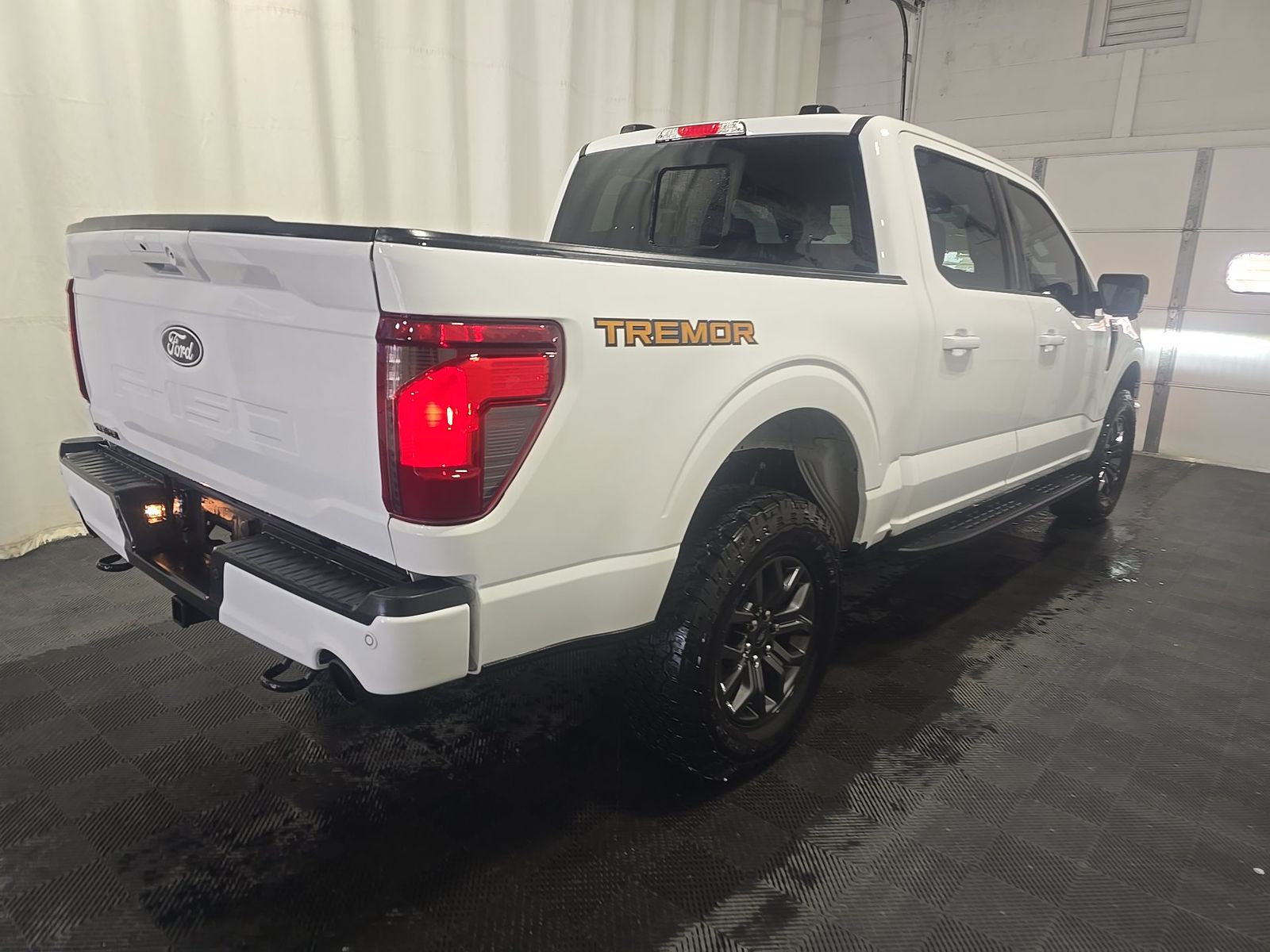 FORD F-150 - 5