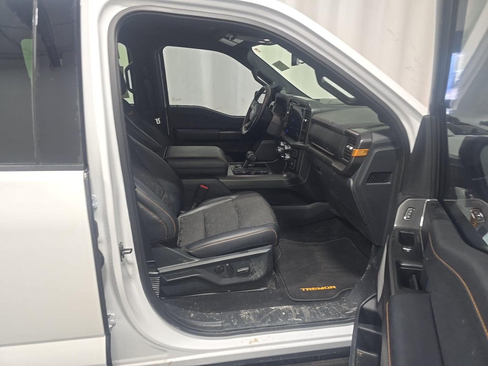 FORD F-150 - 9
