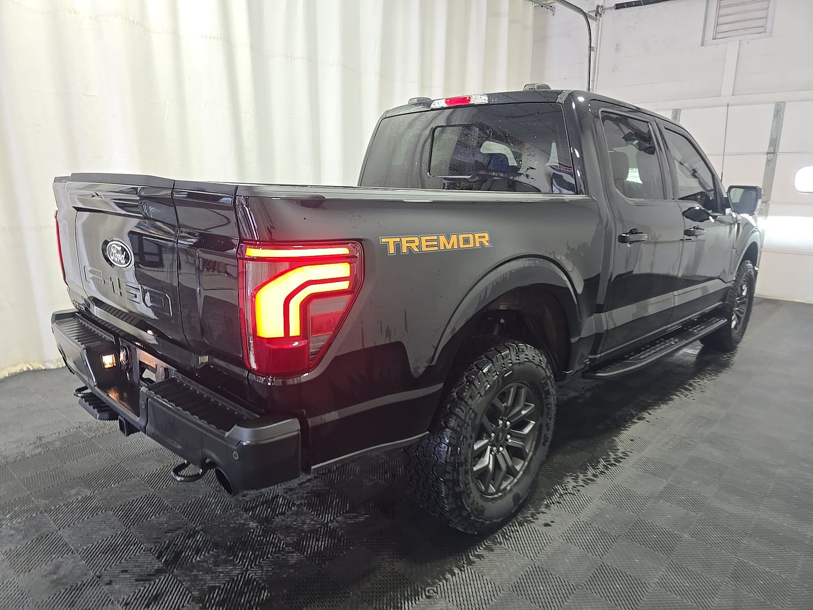 FORD F-150 - 5