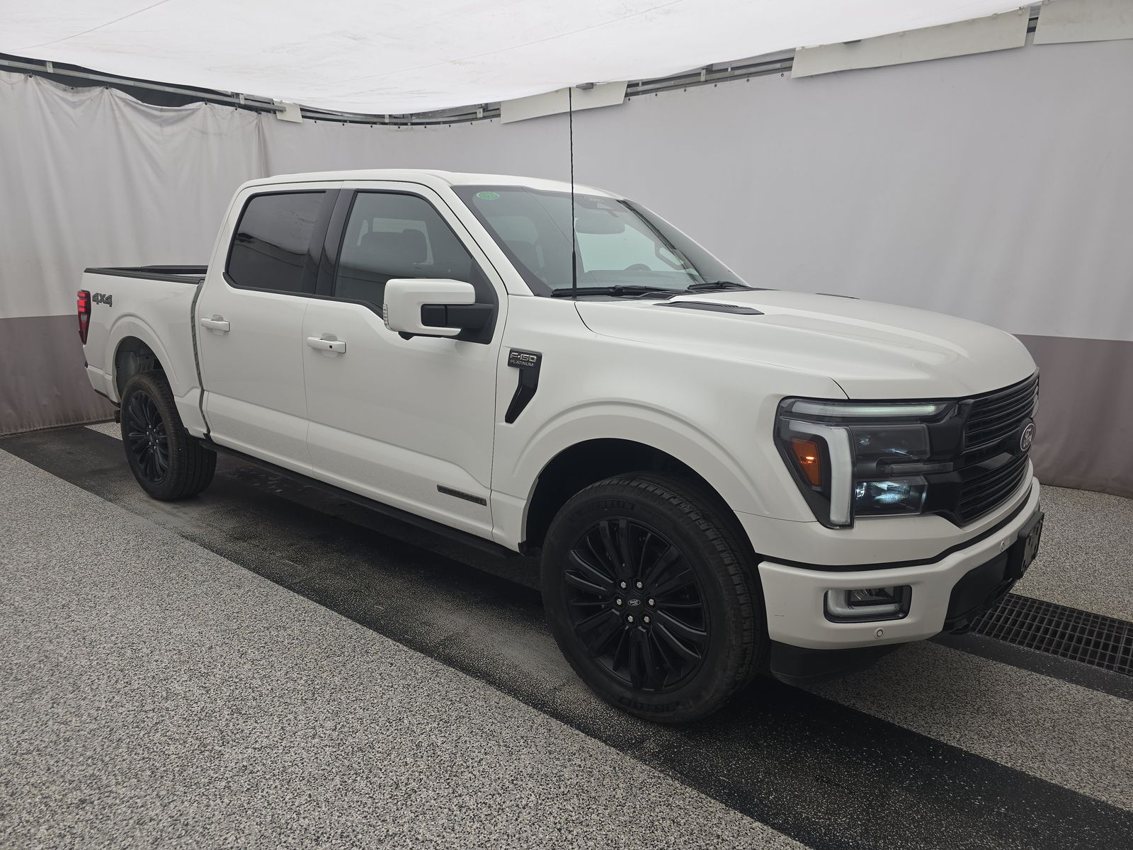 FORD F-150 - 4