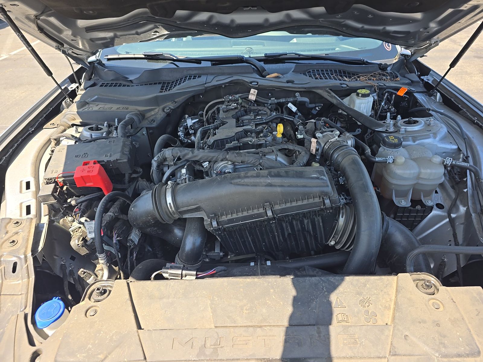 2024 Ford Mustang EcoBoost Premium RWD