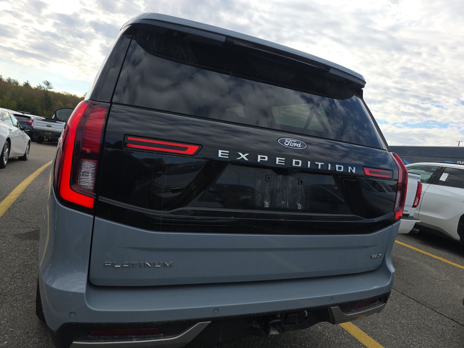 FORD EXPEDITION MAX - 6