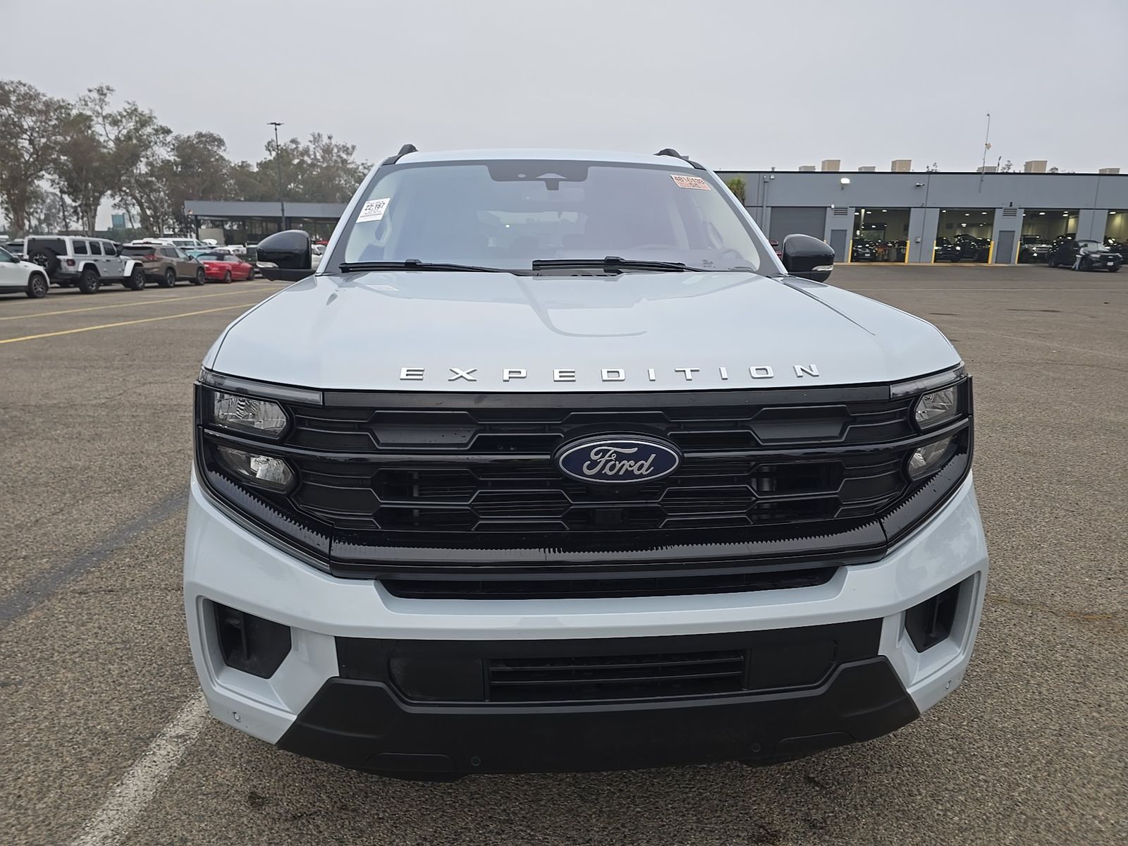 FORD EXPEDITION - 3