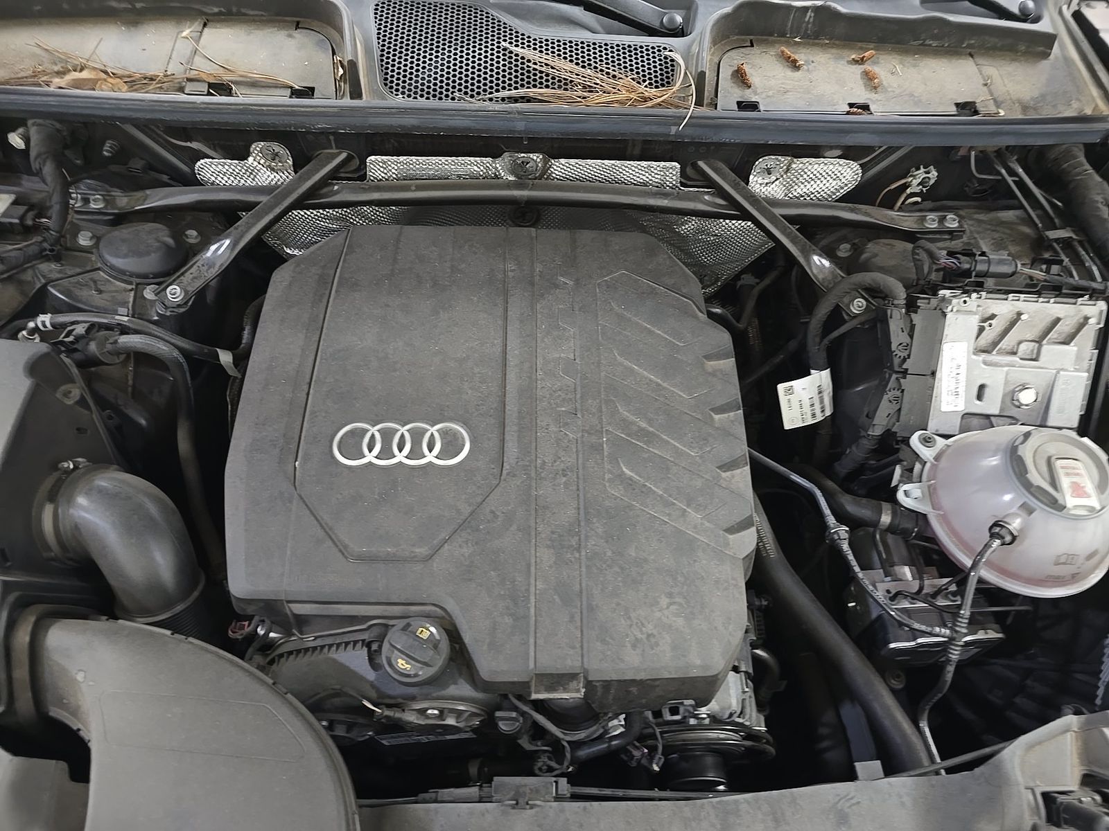 2023 Audi Q5 S line Premium AWD