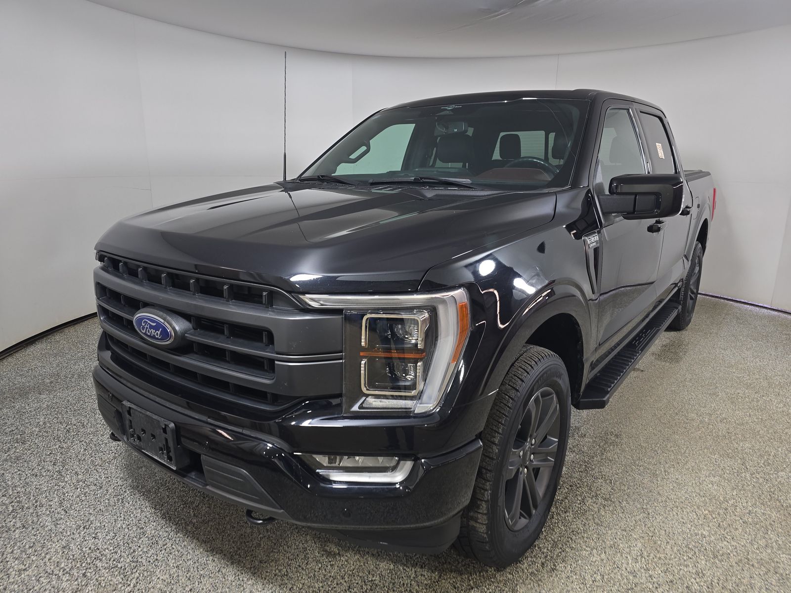 FORD F-150 - 1