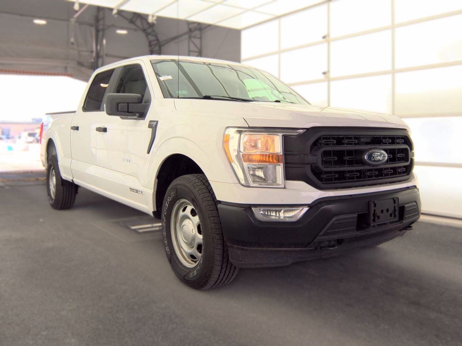 FORD F-150 - 5