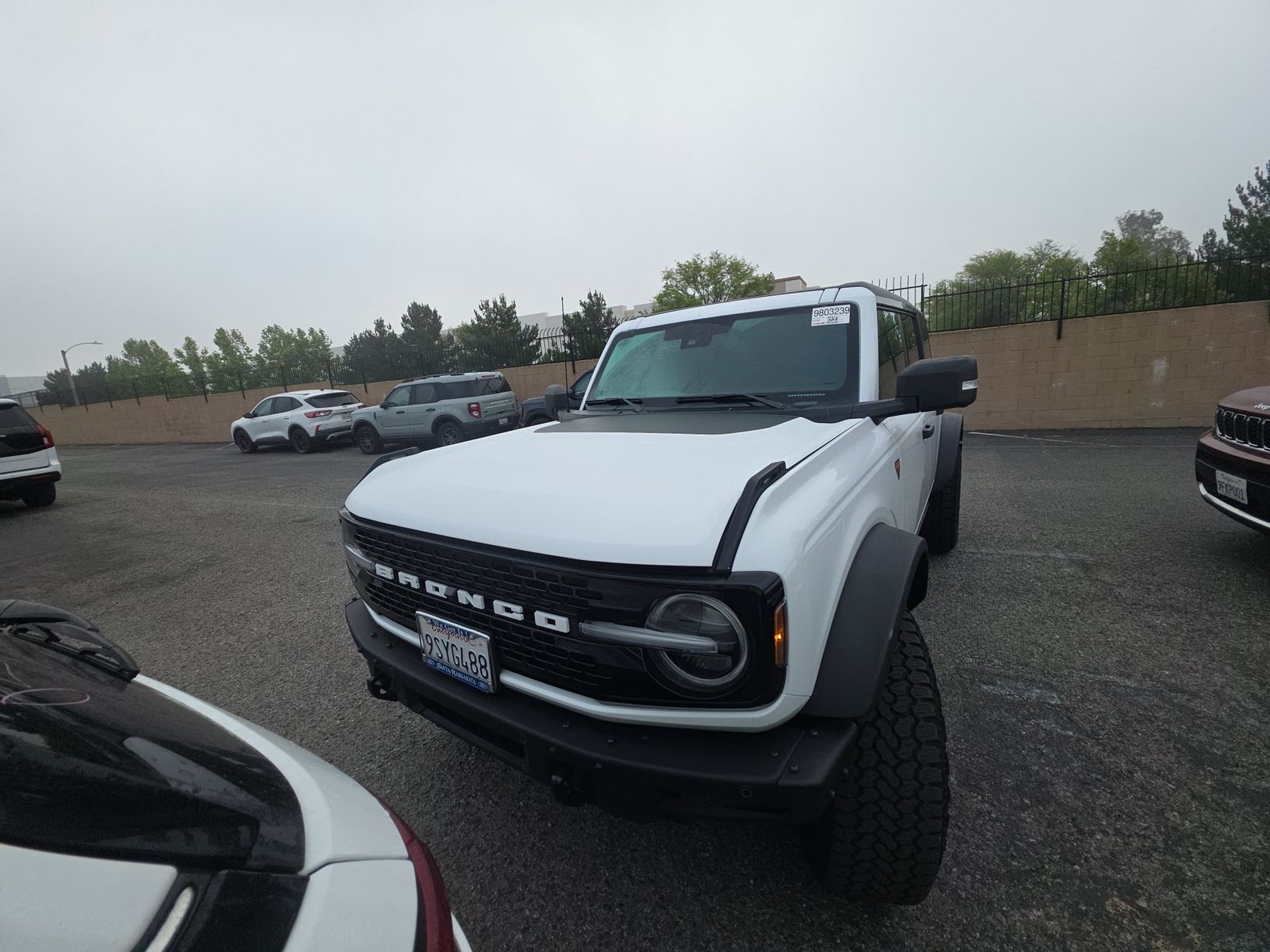 FORD BRONCO - 3