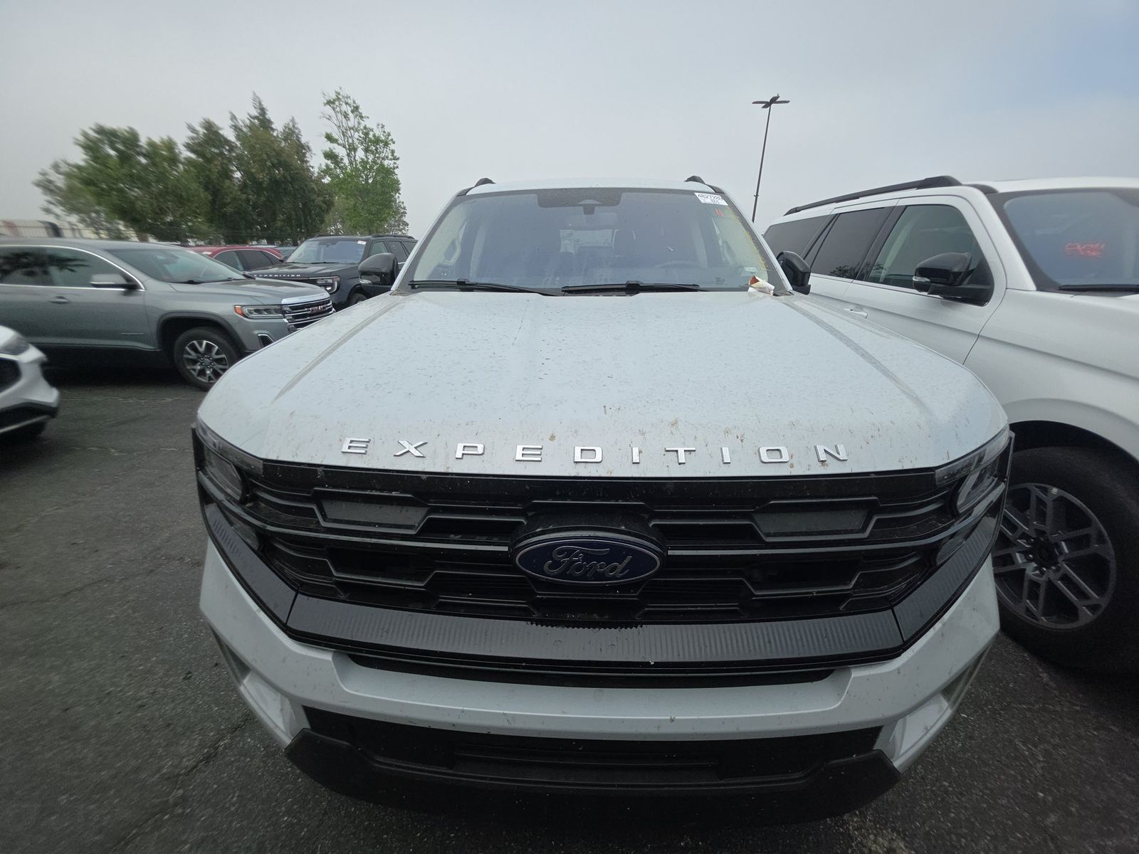 FORD EXPEDITION - 3