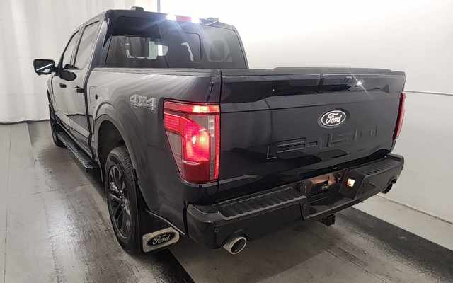FORD F-150 - 3