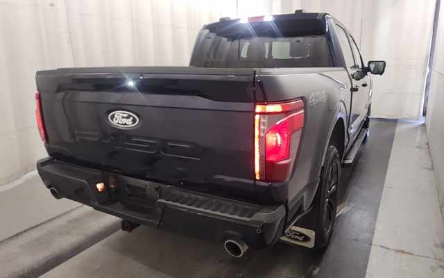 FORD F-150 - 4