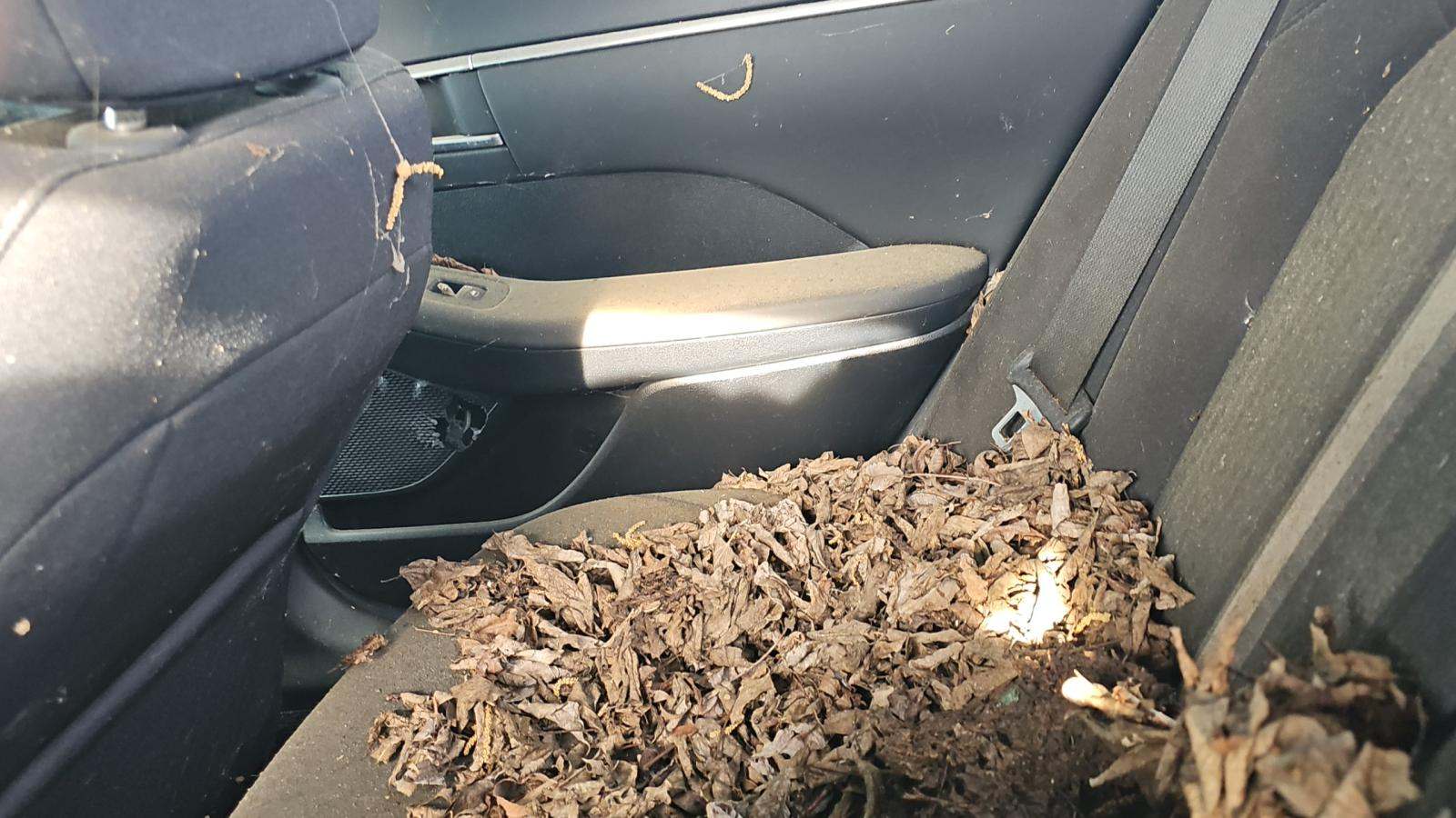 2021 Hyundai Sonata SEL FWD