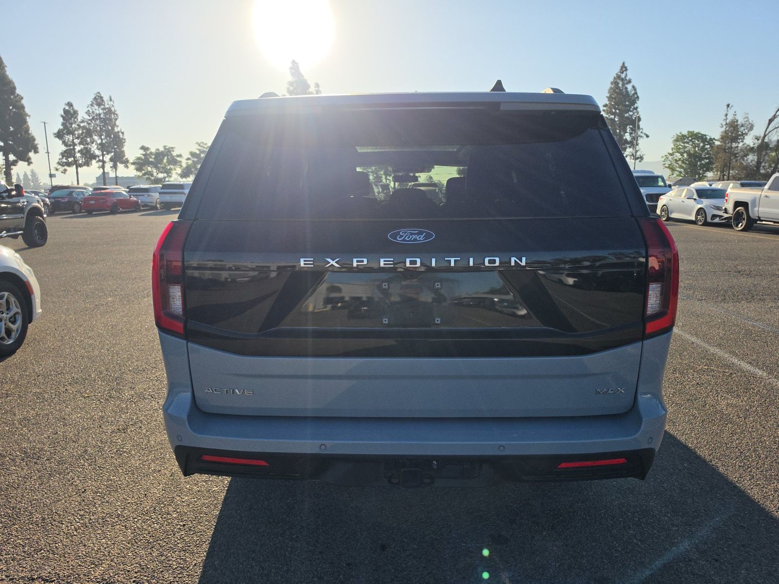 FORD EXPEDITION MAX - 6
