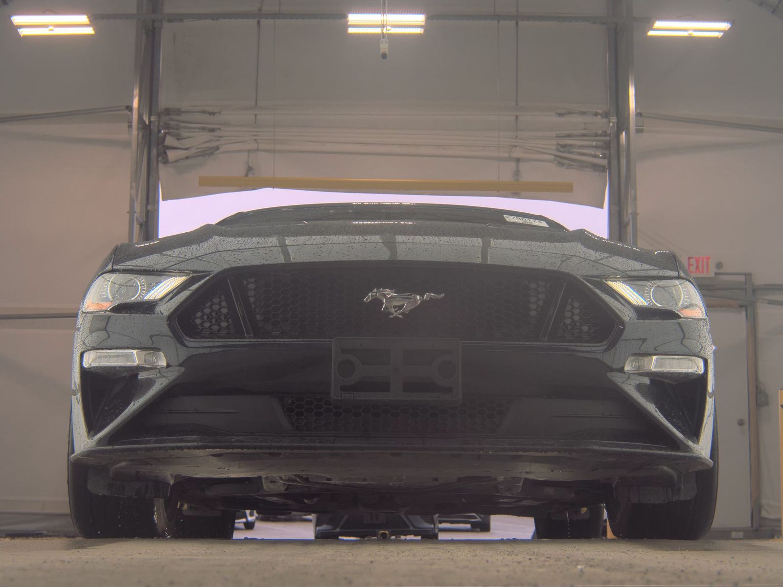 FORD MUSTANG - 4