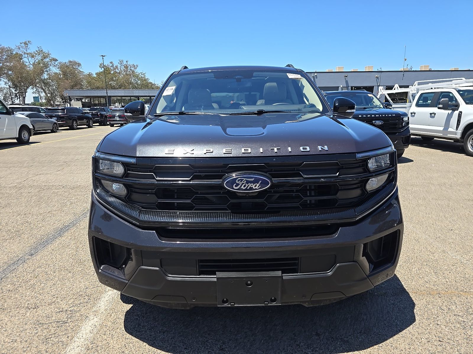 FORD EXPEDITION MAX - 3