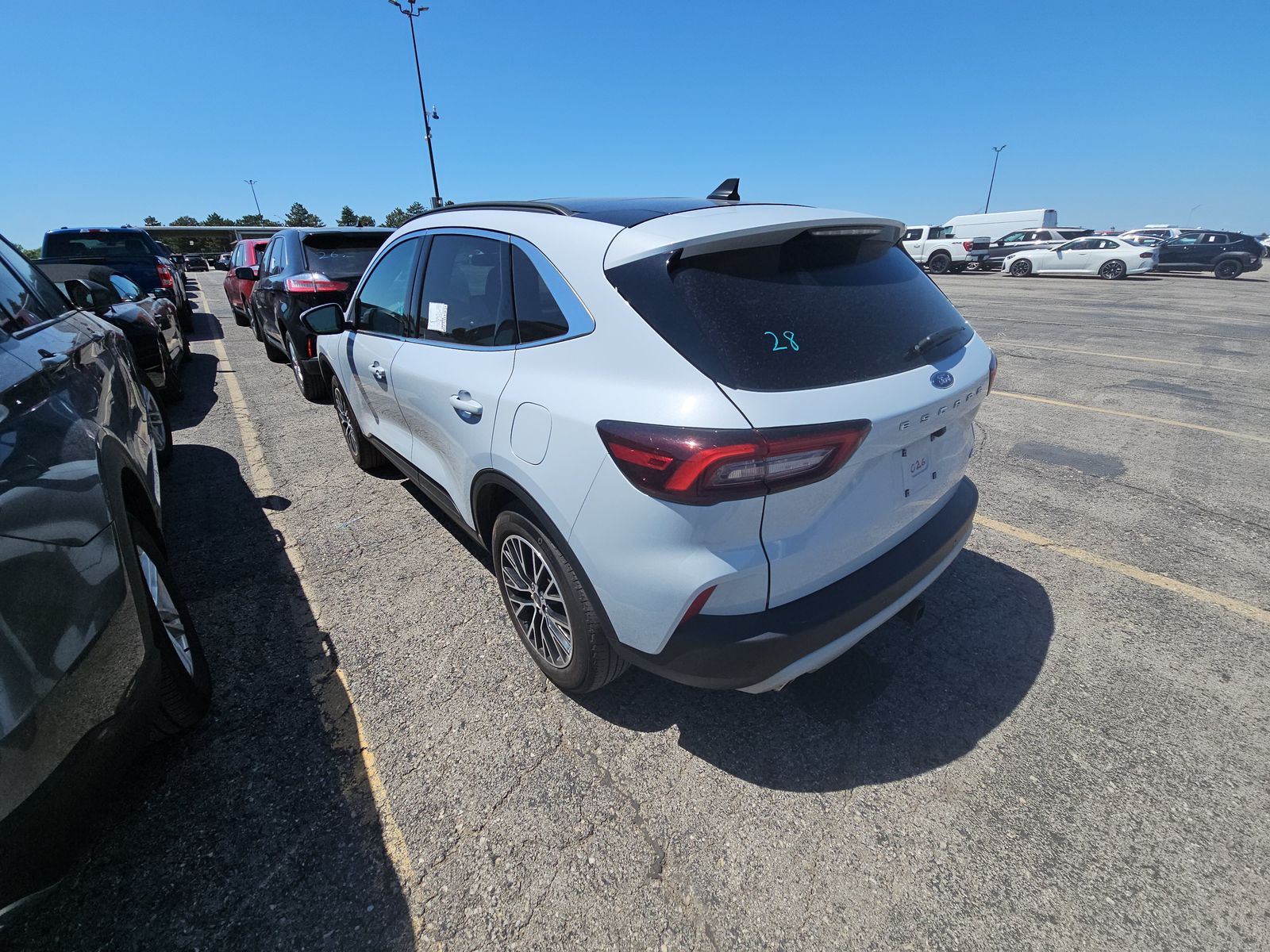 FORD ESCAPE - 7