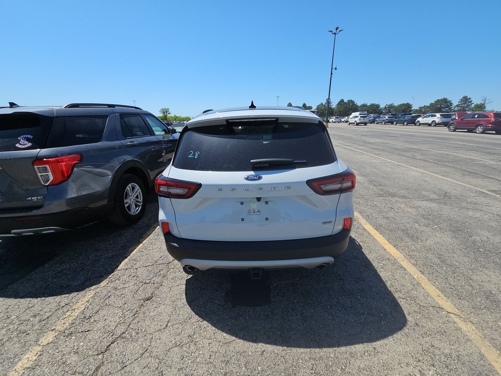 FORD ESCAPE - 6