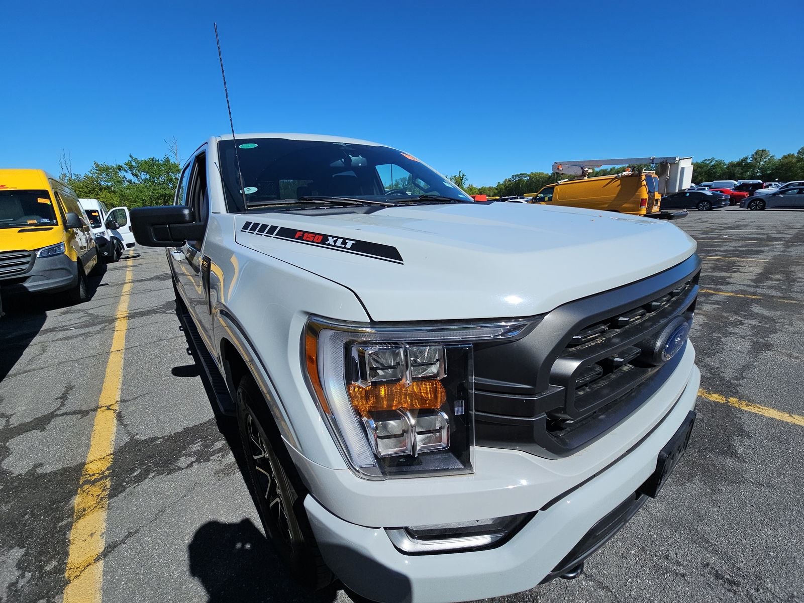 FORD F-150 - 4