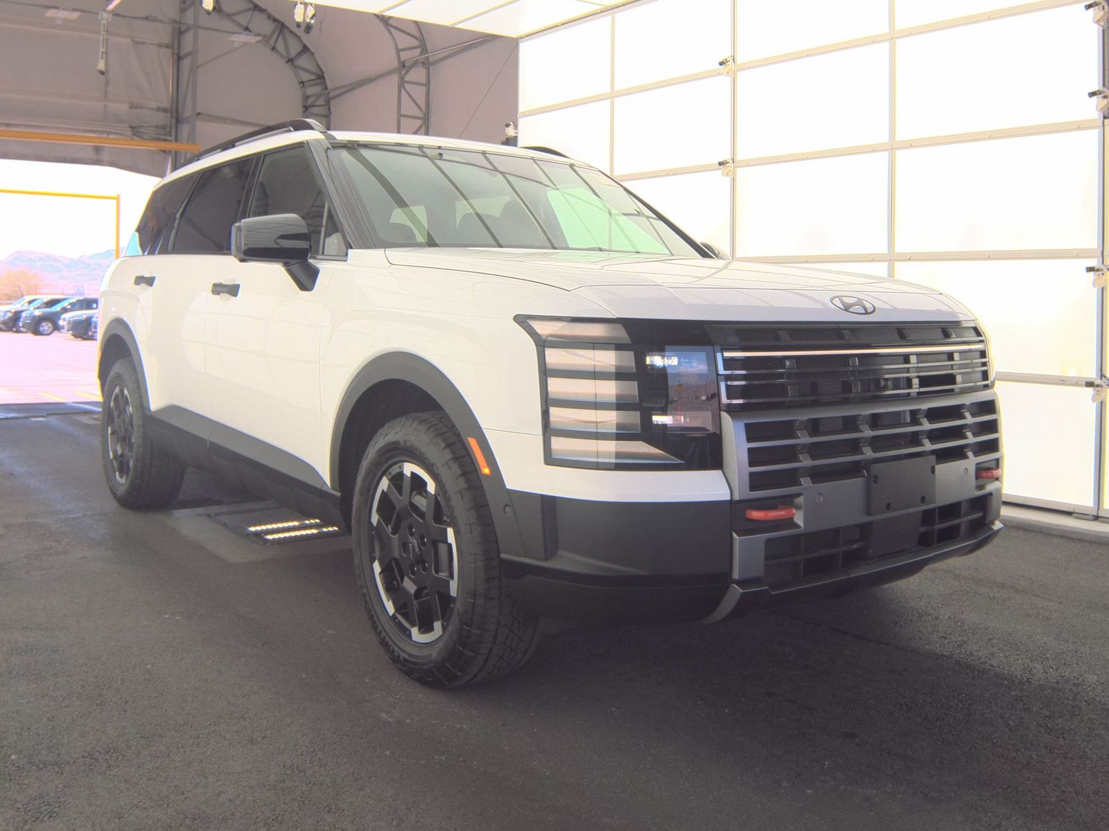 HYUNDAI PALISADE - 5