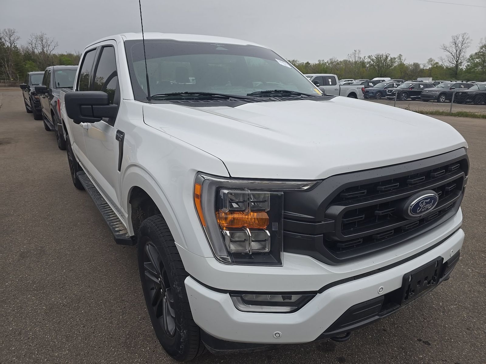 FORD F-150 - 4