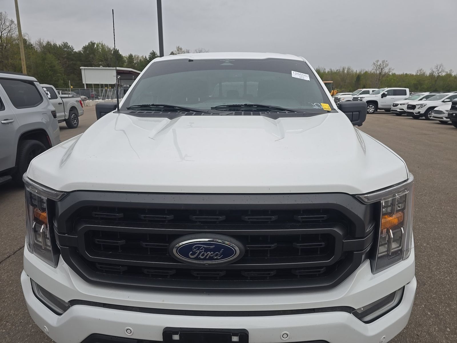 FORD F-150 - 3