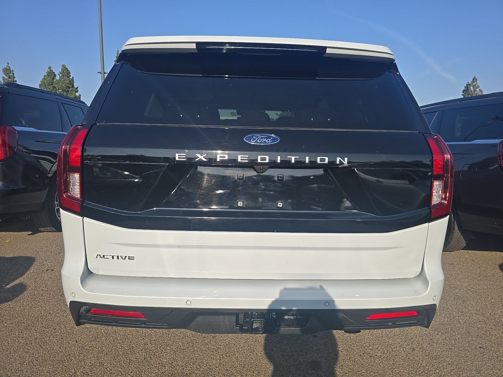 FORD EXPEDITION - 6