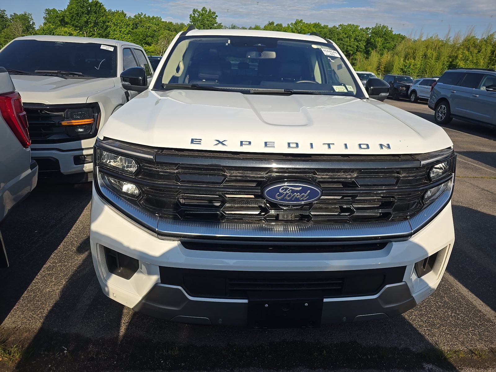 FORD EXPEDITION - 3