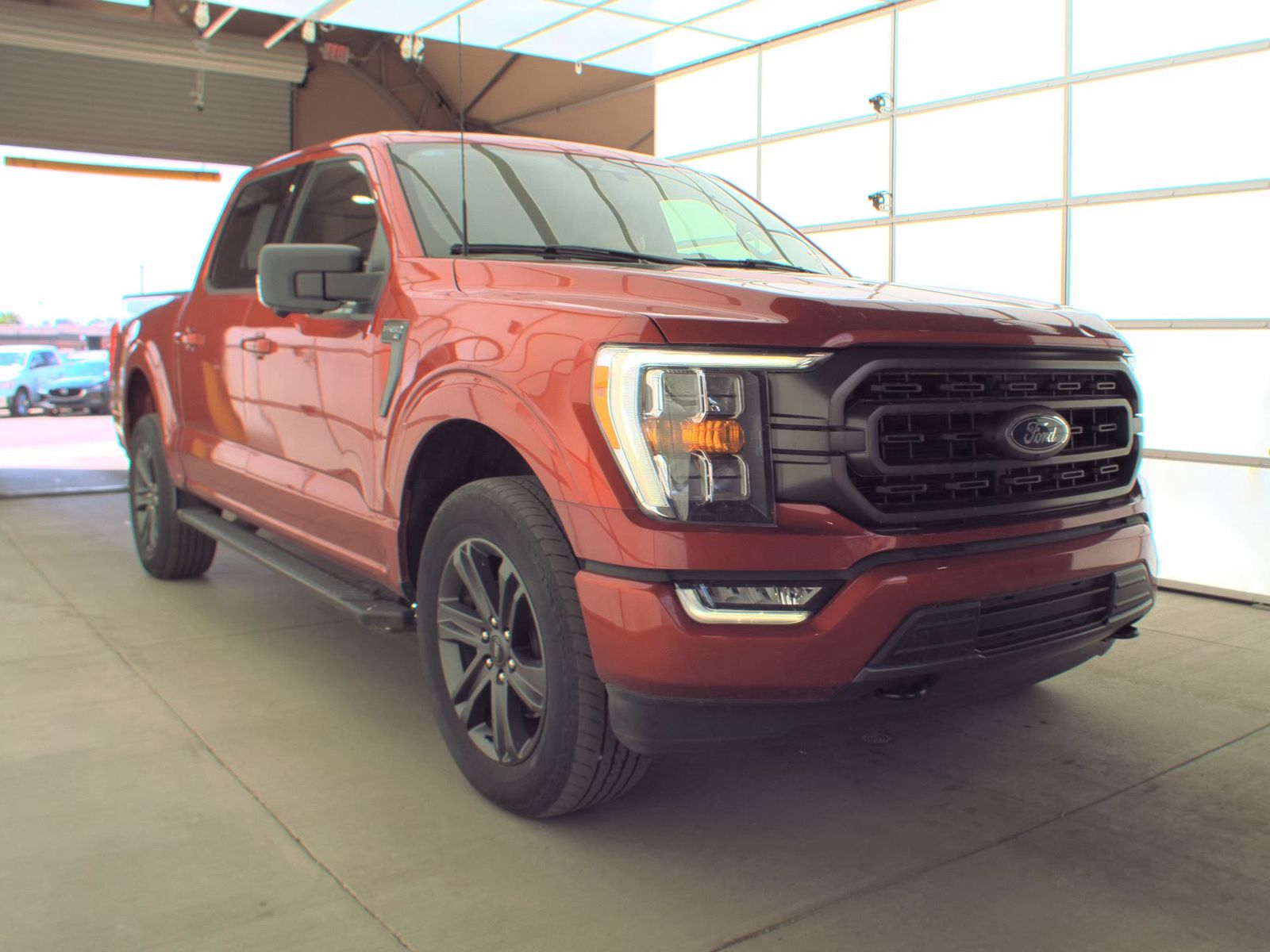 FORD F-150 - 5