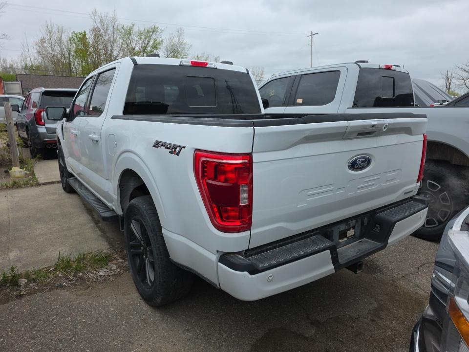 FORD F-150 - 7