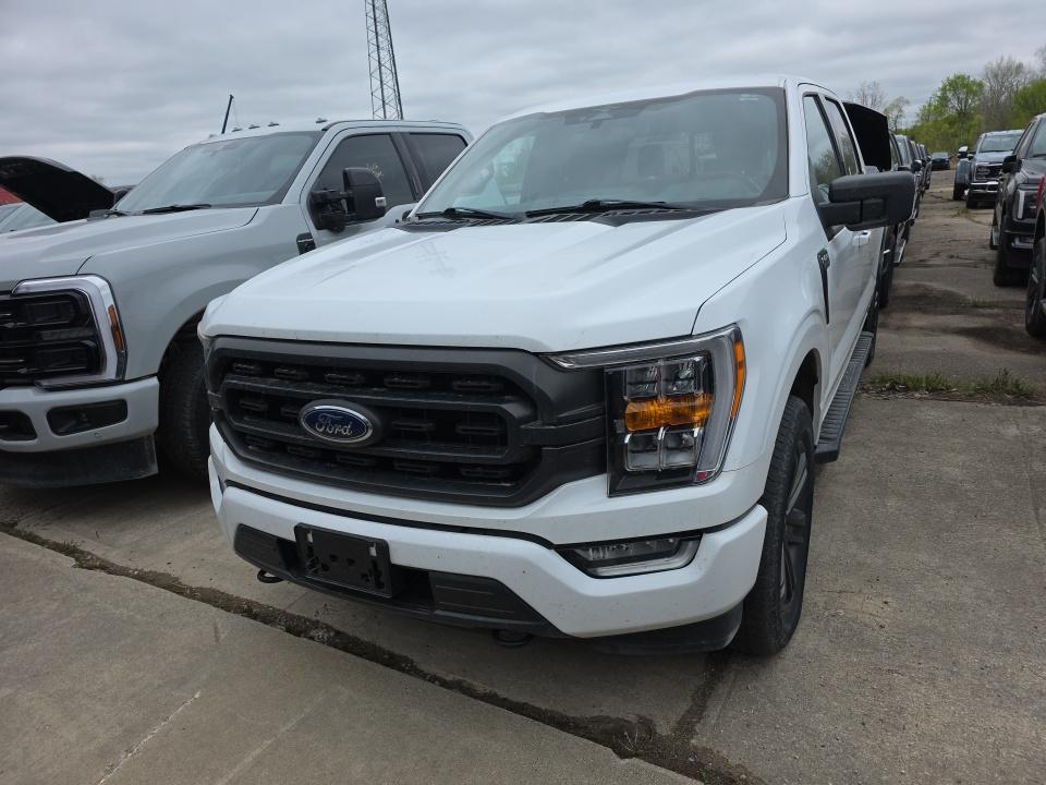 FORD F-150 - 1